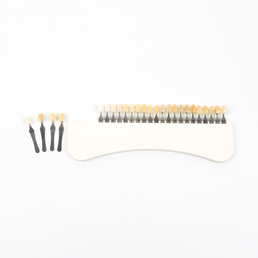 3D 치아 미백 색상 가이드 25가지 색상 도자기 치아 - Teeth Whitening Professional 리뷰 및 가격