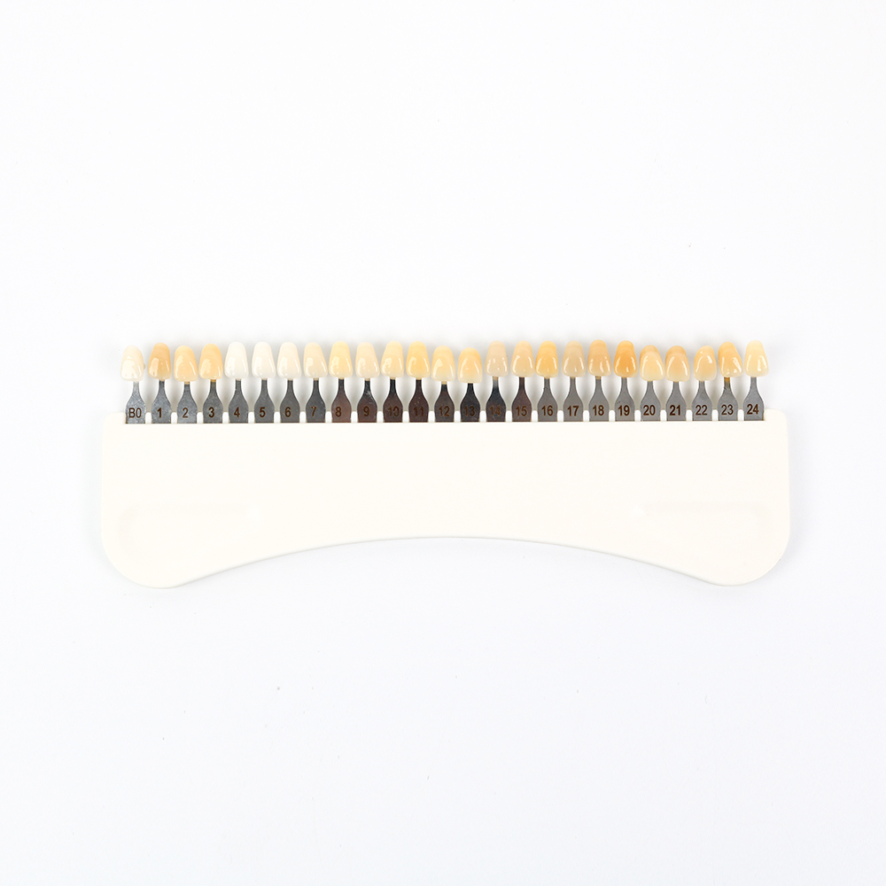 3D 치아 미백 색상 가이드 25가지 색상 도자기 치아 - Teeth Whitening Professional 리뷰 및 가격