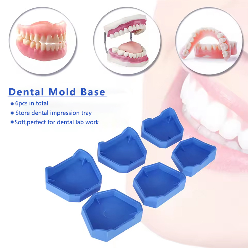 2/6Pcs 치과 모델 기본 실리콘 석고 모델 기본 틀 - Teeth Whitening Trays 리뷰 및 가격