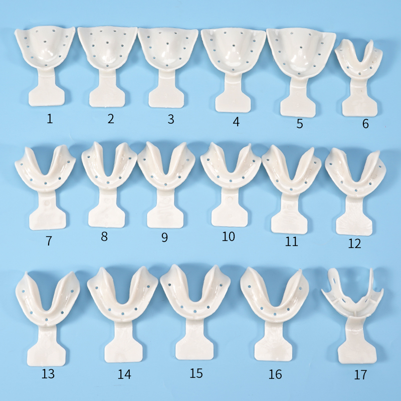 17개 치과 인상 트레이 세트 무치부 환자용 턱 홀더  - Teeth Whitening Trays 리뷰 및 가격