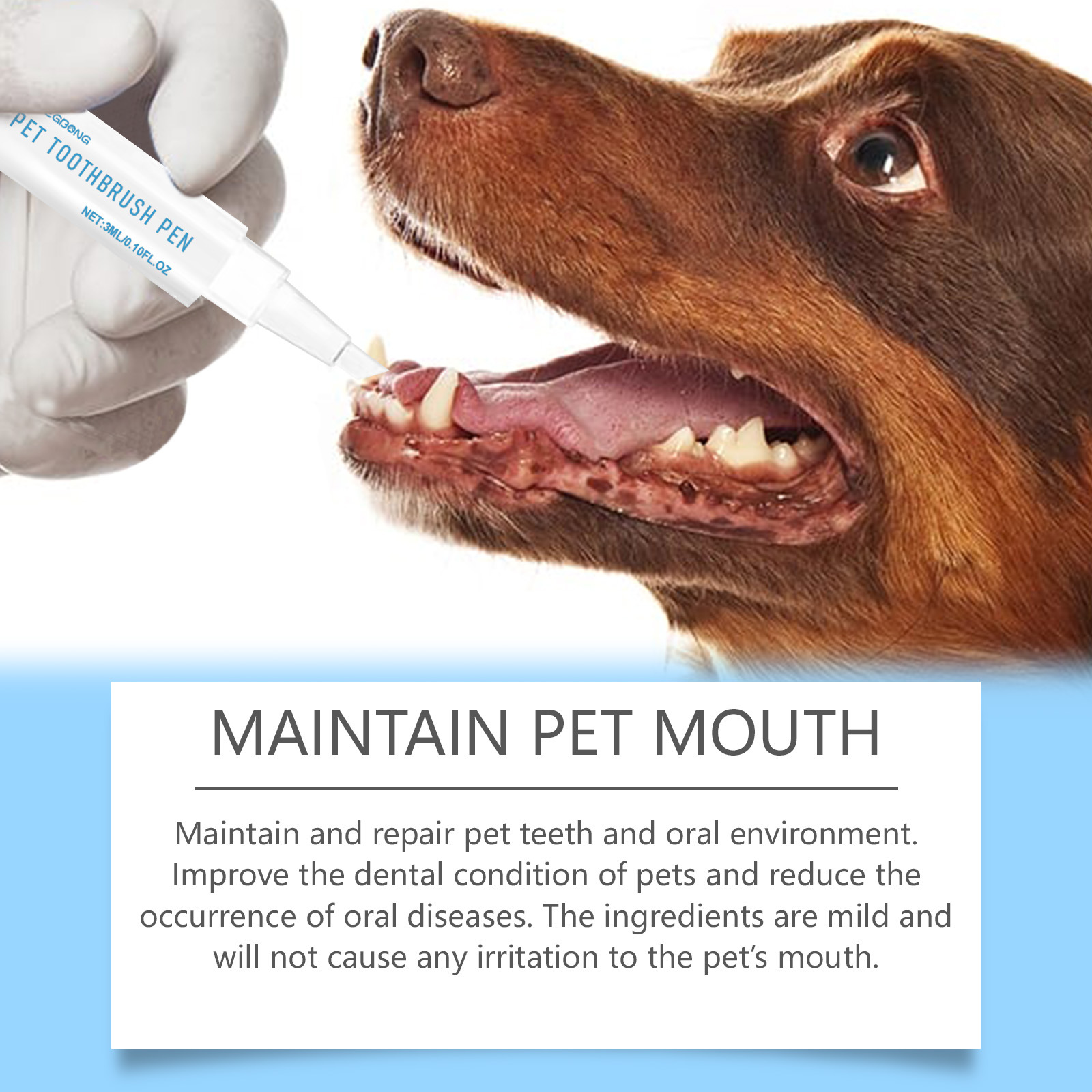 강아지와 고양이를 위한 구강 세정 젤 펜, 오래 지속되 - Teeth Whitening Paste 리뷰 및 가격
