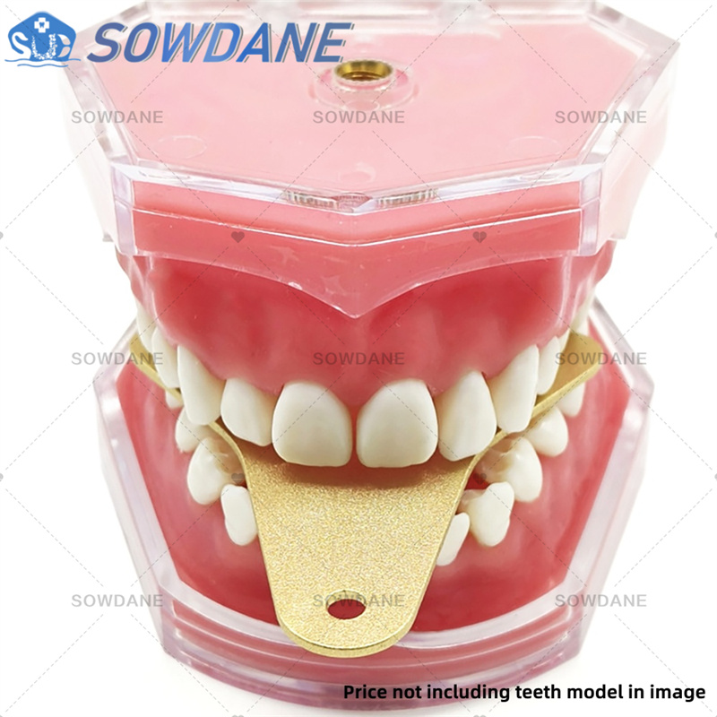 치과용 알루미늄 합금 오토클레이브 가능 치과용 트레이  - Teeth Whitening Trays 리뷰 및 가격