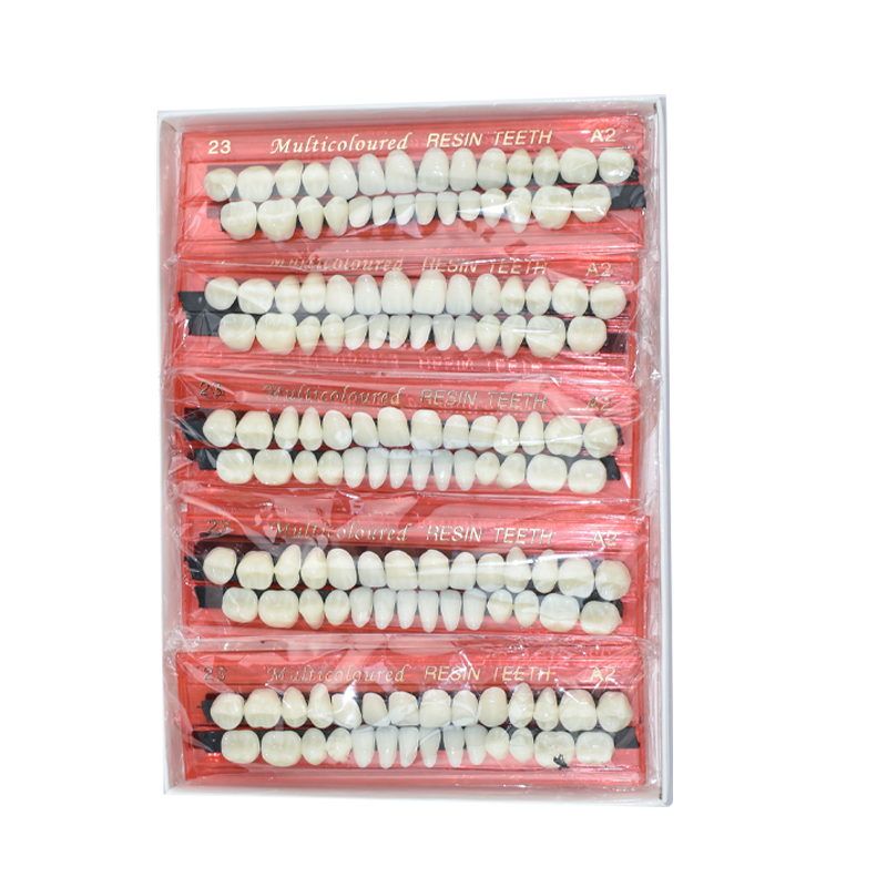 28 치아 치과 수지 틀니 세트 3D 그늘 가이드 색상 - Teeth Whitening Flash 리뷰 및 가격