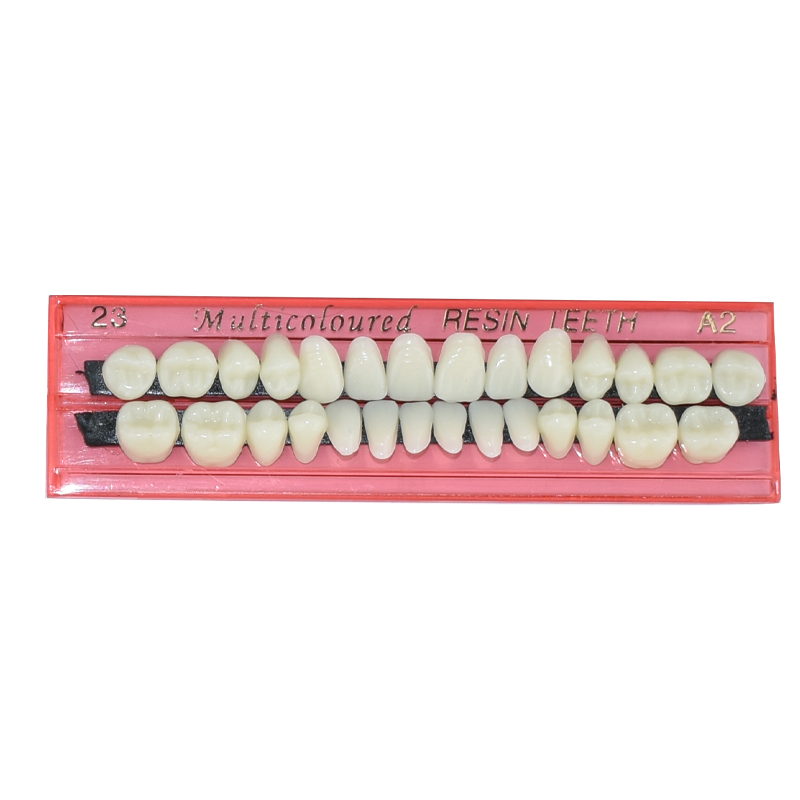 28 치아 치과 수지 틀니 세트 3D 그늘 가이드 색상 - Teeth Whitening Flash 리뷰 및 가격