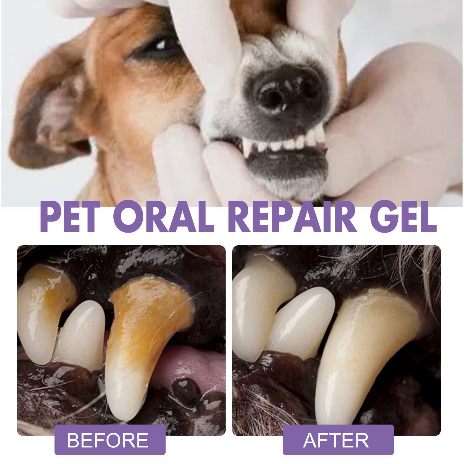 애완 동물 구강 수리 젤 강아지 타르타르 제거 냄새 제 - Teeth Whitening Gels 리뷰 및 가격