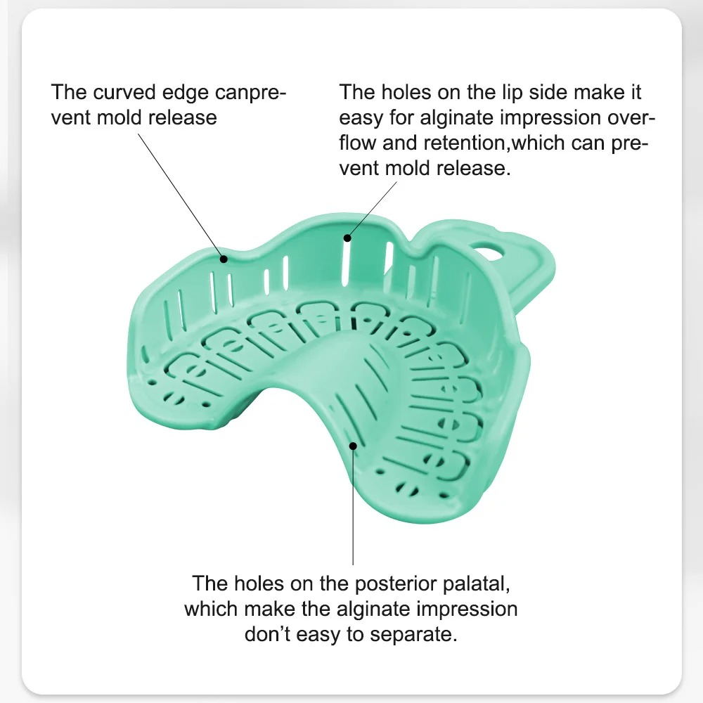 6개입 치과 임플란트 트레이 그린 풀 마우스 인상 트레 - Teeth Whitening Trays 리뷰 및 가격