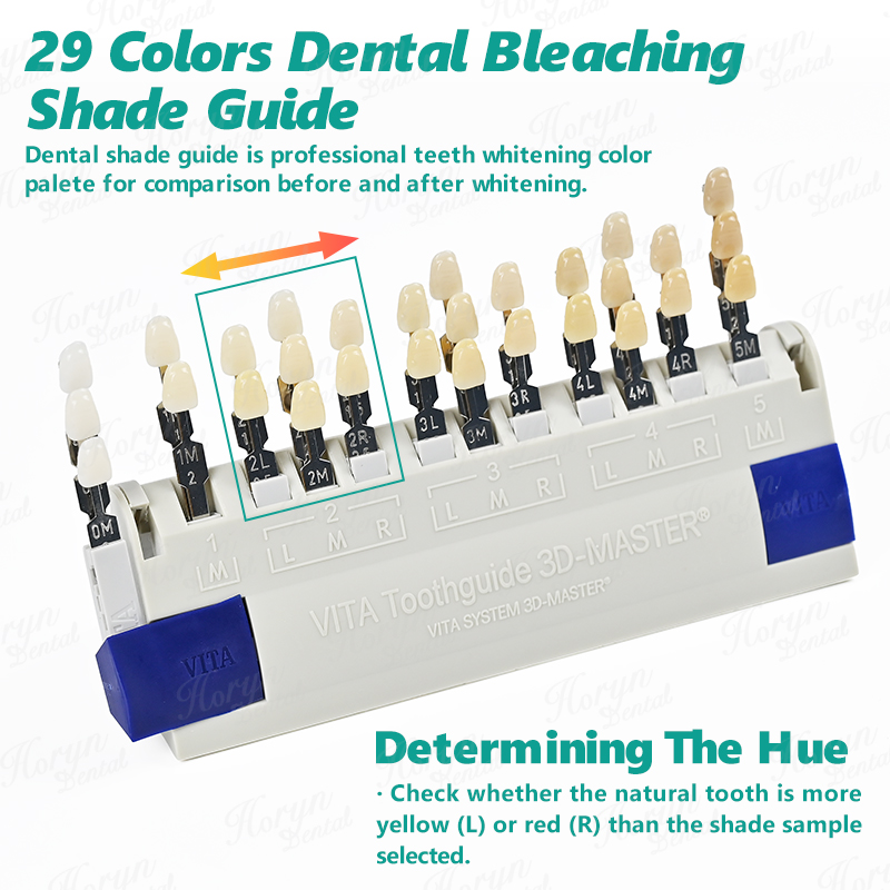 비타 3D 마스터 치과 연구소 표백 색상 가이드 29가 - Teeth Whitening Flash 리뷰 및 가격