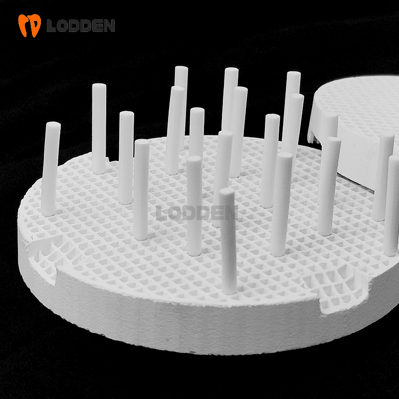 로든 세라믹 허니콤 소결 트레이 및 지르코니아 핀 치과 - Teeth Whitening Trays 리뷰 및 가격