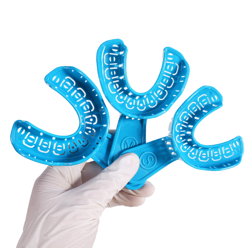 6개입 치과용 임플란트 인상 트레이, 탈착식 부분 몰드 - Teeth Whitening Trays 리뷰 및 가격